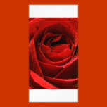 Red Rose photo cards