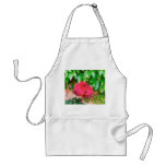 Red Rose Pink Stucco Apron