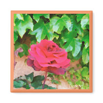 Red Rose Pink Stucco Magnet