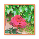 Red Rose Pink Stucco Magnet