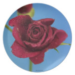 Red Rose Plate plates