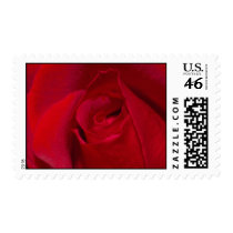 Red Rose postage