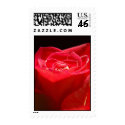 red rose postage