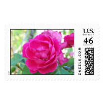 red rose postage by mark59956 red rose postage