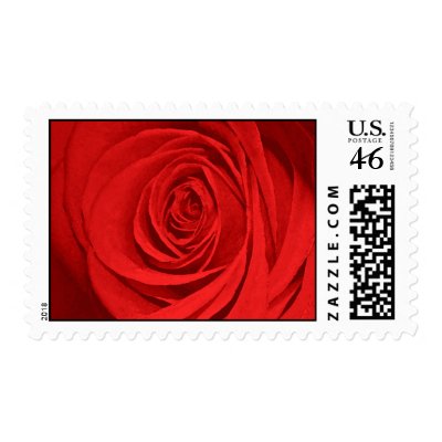 Red rose postage stamps