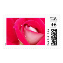 Red Rose postage by annienbart Red Rose postage