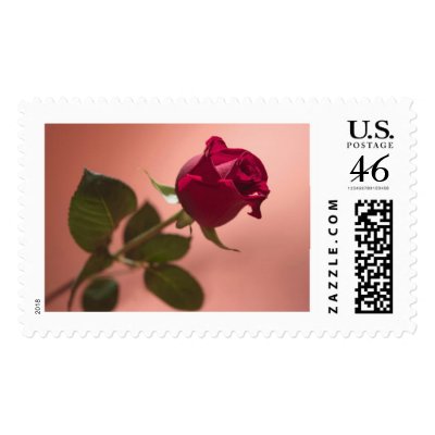 Red Rose Postage Stamps