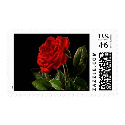 RED ROSE STAMPS