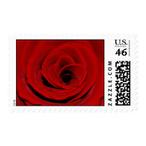 Red Rose Postage postage by junipergrove Red Rose Postage postage