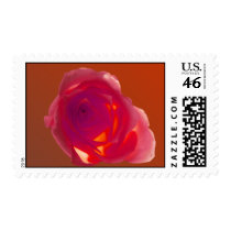 Red Rose postage by roimim Red Rose postage