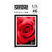 Red Rose Postage Stamp