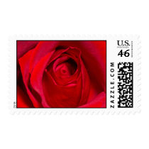 Red Rose postage