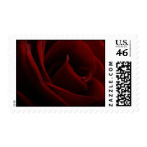 Red Rose Postage postage by Rajee1 Red Rose Postage postage
