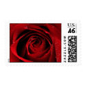 Red Rose Postage stamp