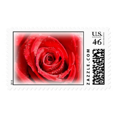 Red Rose Postage Stamp