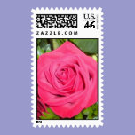 Red Rose Postage Stamps