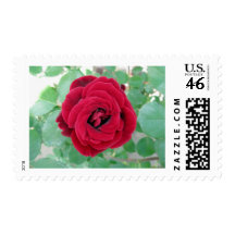 red rose postage stamps