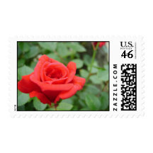 Red Rose Postage Stamps