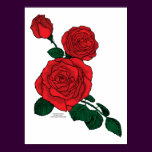 Red rose poster