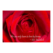Red Rose posters