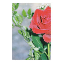 Red Rose posters