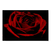 Red Rose Poster posters