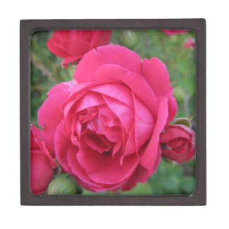 Red Rose Premium Gift Box