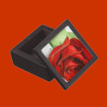 Red Rose premium gift boxes