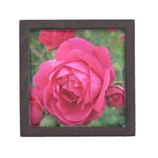 Red Rose Premium Trinket Boxes