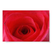 red rose posters by bettytoo red rose posters