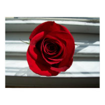 Red Rose Print by ivanka Red Rose Print