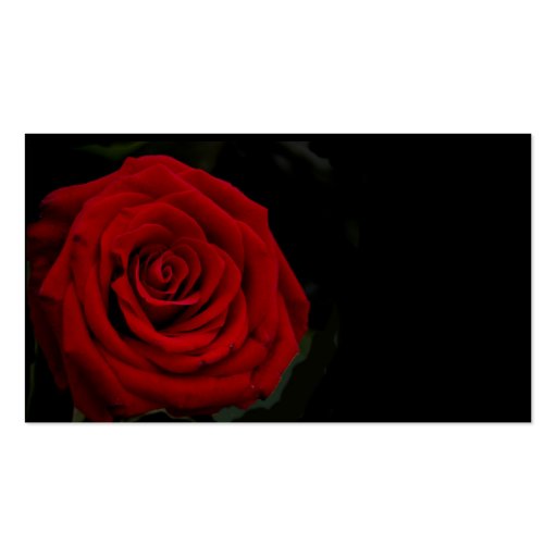 Red Rose Profile Card Business Card (back side)