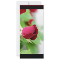 Red Rose Custom Rack Card