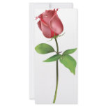 Red Rose. Custom Rack Card