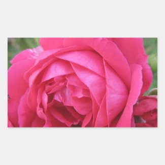Red Rose Rectangular Stickers