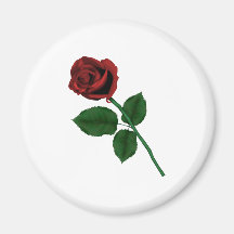 Red Rose Refrigerator Magnets