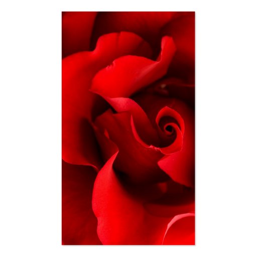 Red Rose - Roses Customized Template Business Cards (front side)