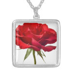 Red Rose - Roses Customized Template Necklaces