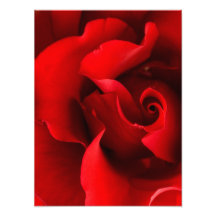 Red Rose - Roses Customized Template Photo Art