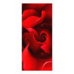 Red Rose - Roses Customized Template Rack Cards
