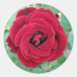 red rose round sticker