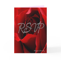 Red Rose RSVP Card cards