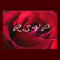 Red Rose RSVP Personalized Rose Cards invitations