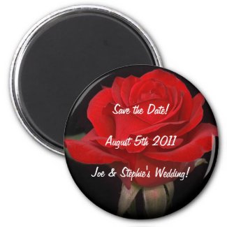 Red Rose Save the Date Magnet magnet