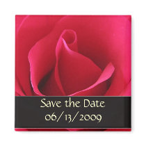 Red rose save the date magnet