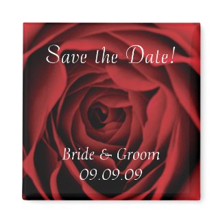 Red Rose Save the Date Magnet magnet