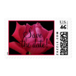 Red Rose save the date Postage