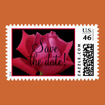 Red Rose save the date Postage postage
