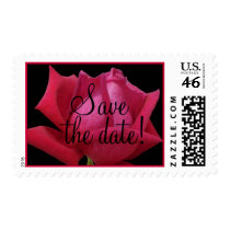 Red Rose save the date Postage postage