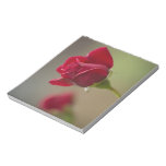 Red Rose Scratch Pad
